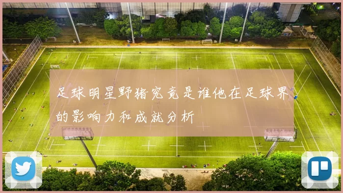足球明星野猪究竟是谁他在足球界的影响力和成就分析