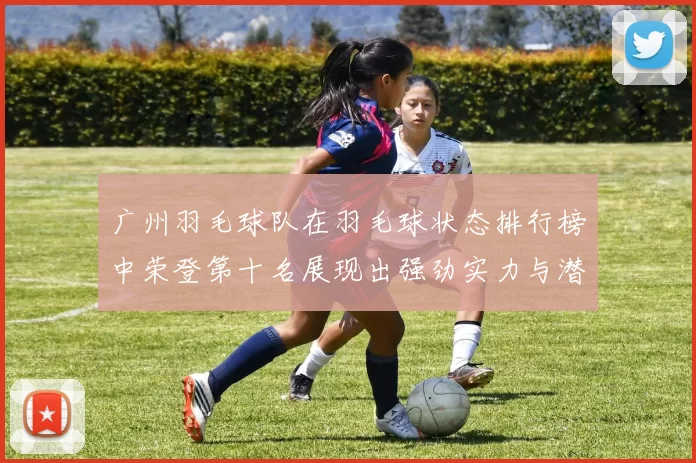 广州羽毛球队在羽毛球状态排行榜中荣登第十名展现出强劲实力与潜力