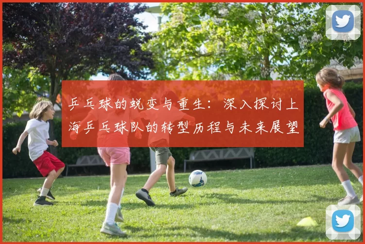 乒乓球的蜕变与重生：深入探讨上海乒乓球队的转型历程与未来展望