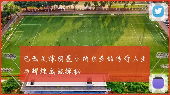 巴西足球明星小纳尔多的传奇人生与辉煌成就探秘