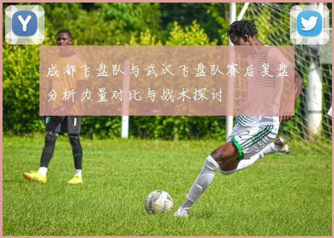 成都飞盘队与武汉飞盘队赛后复盘分析力量对比与战术探讨