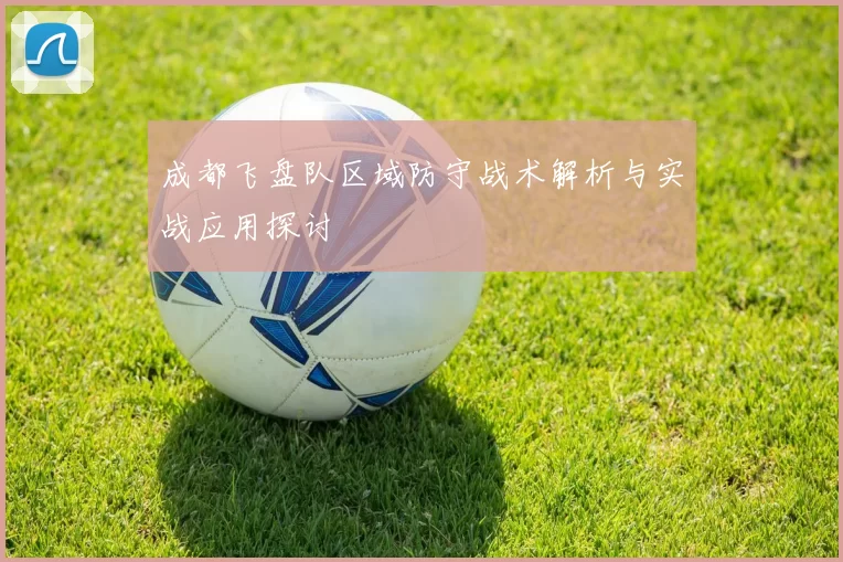成都飞盘队区域防守战术解析与实战应用探讨