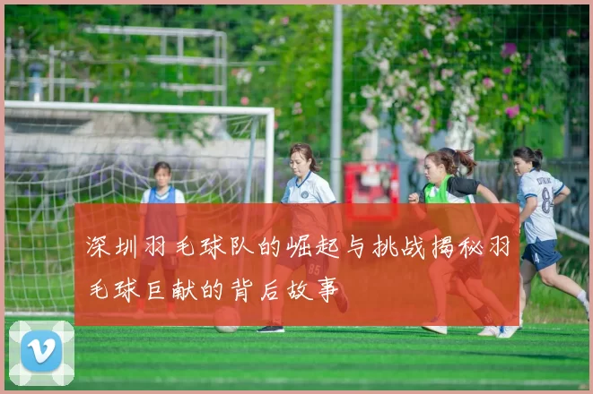 深圳羽毛球队的崛起与挑战揭秘羽毛球巨献的背后故事