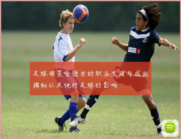 足球明星哈德尔的职业生涯与成就揭秘以及他对足球的影响