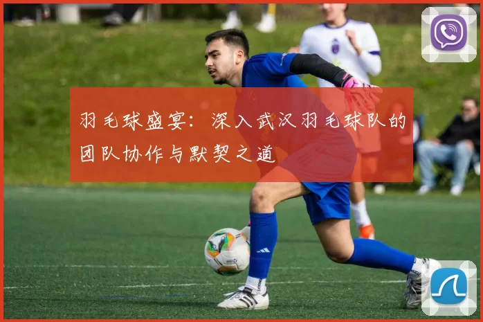 羽毛球盛宴：深入武汉羽毛球队的团队协作与默契之道