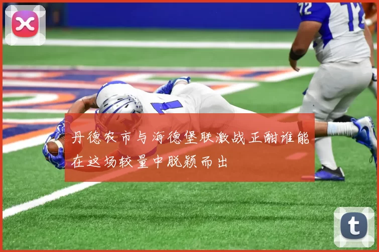 丹德农市与海德堡联激战正酣谁能在这场较量中脱颖而出