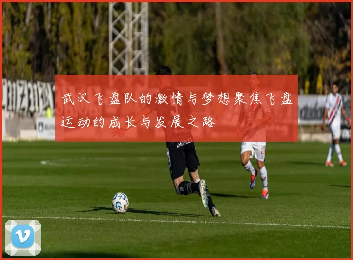 武汉飞盘队的激情与梦想聚焦飞盘运动的成长与发展之路