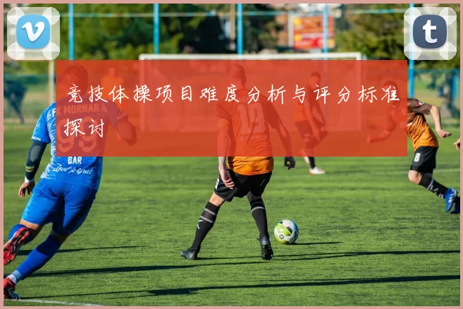 竞技体操项目难度分析与评分标准探讨