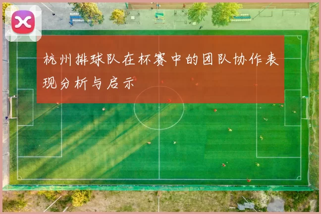 杭州排球队在杯赛中的团队协作表现分析与启示
