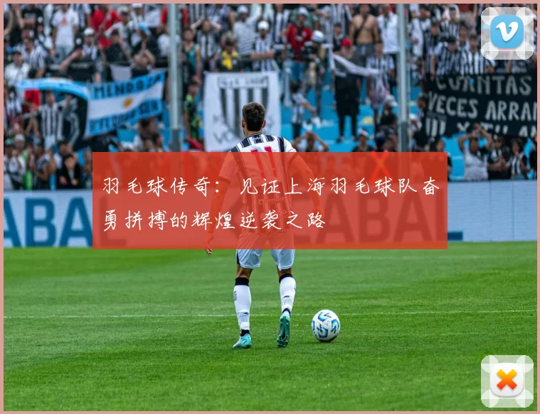 羽毛球传奇：见证上海羽毛球队奋勇拼搏的辉煌逆袭之路