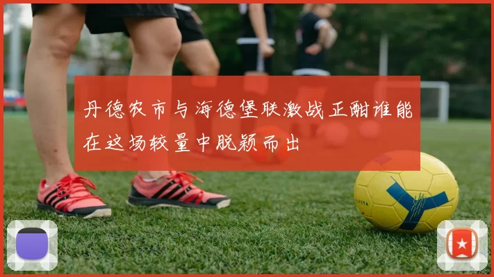 丹德农市与海德堡联激战正酣谁能在这场较量中脱颖而出