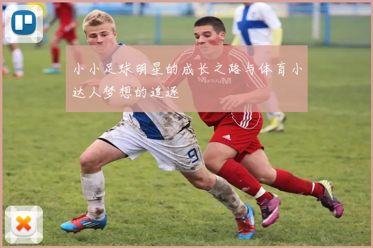 小小足球明星的成长之路与体育小达人梦想的追逐