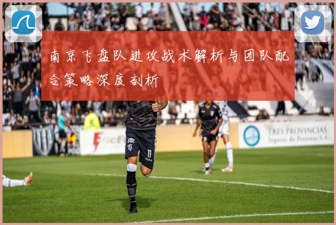 南京飞盘队进攻战术解析与团队配合策略深度剖析
