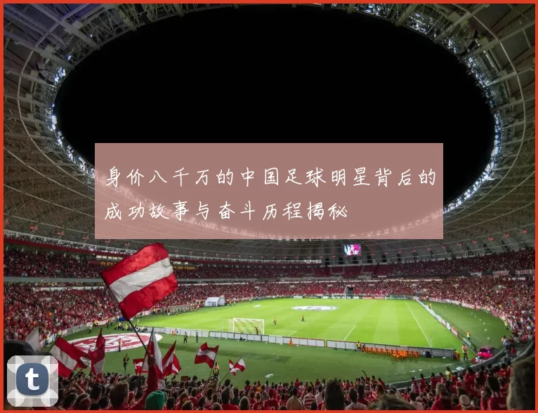 身价八千万的中国足球明星背后的成功故事与奋斗历程揭秘