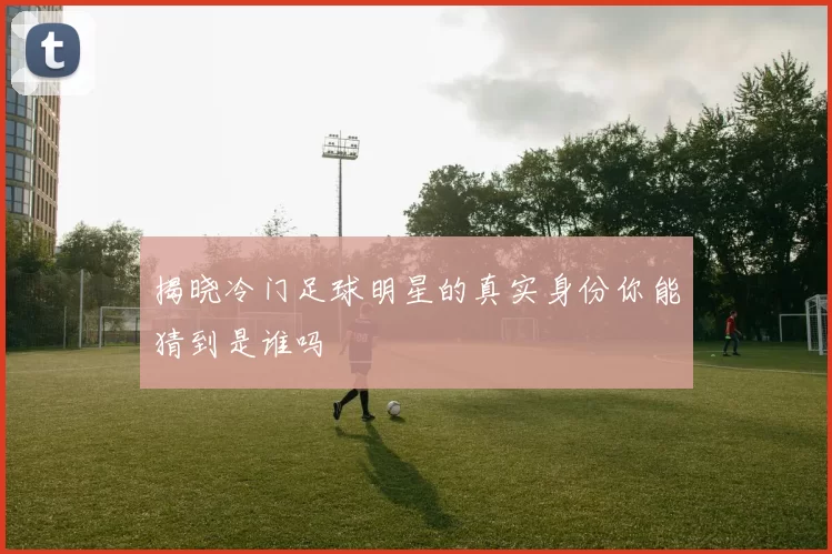 揭晓冷门足球明星的真实身份你能猜到是谁吗