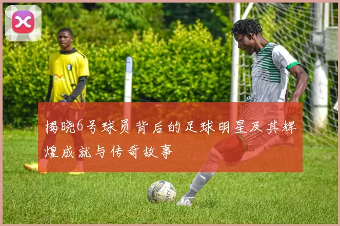 揭晓6号球员背后的足球明星及其辉煌成就与传奇故事