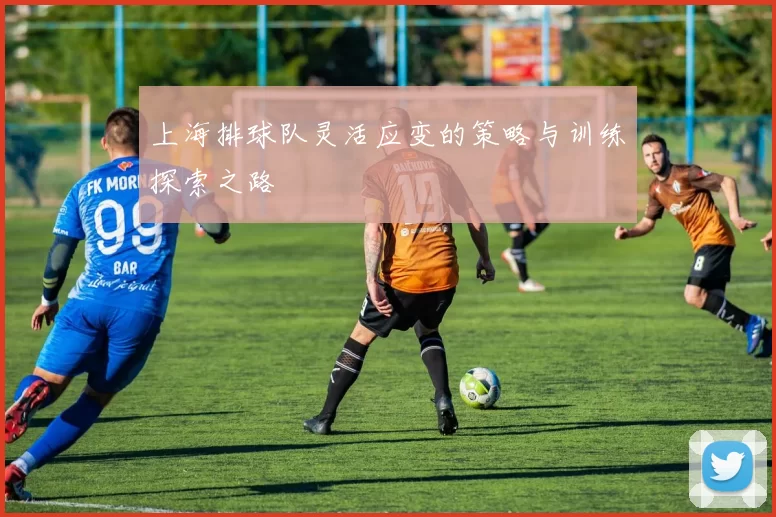 上海排球队灵活应变的策略与训练探索之路
