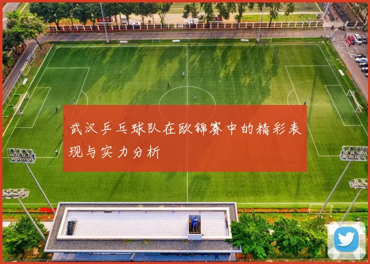 武汉乒乓球队在欧锦赛中的精彩表现与实力分析