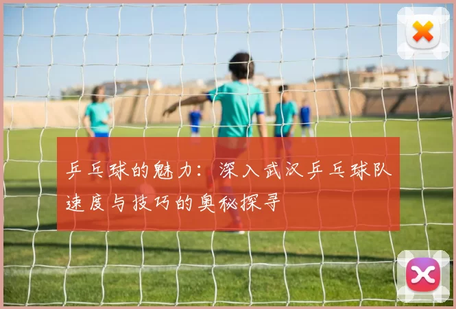 乒乓球的魅力：深入武汉乒乓球队速度与技巧的奥秘探寻