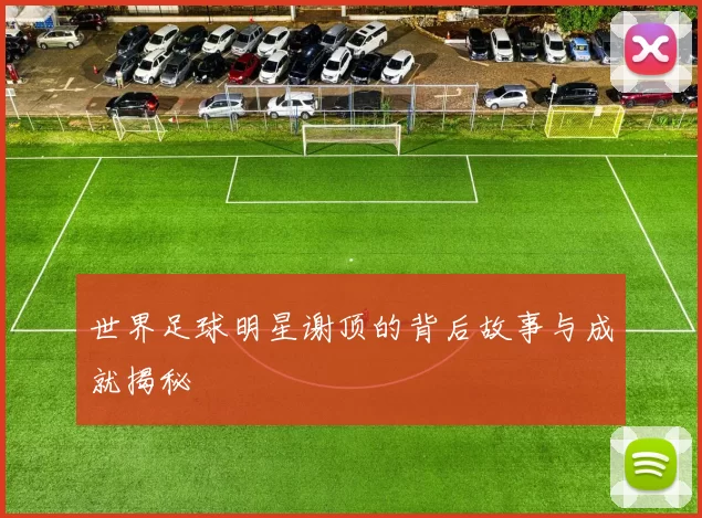世界足球明星谢顶的背后故事与成就揭秘