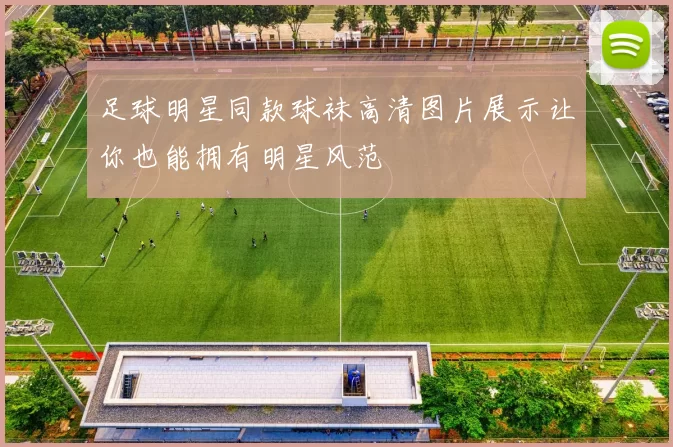 足球明星同款球袜高清图片展示让你也能拥有明星风范