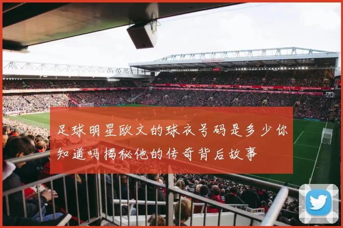 足球明星欧文的球衣号码是多少你知道吗揭秘他的传奇背后故事