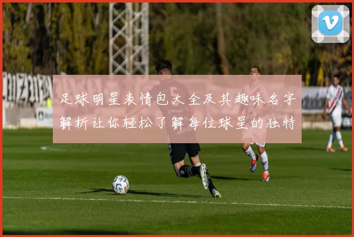 足球明星表情包大全及其趣味名字解析让你轻松了解每位球星的独特魅力