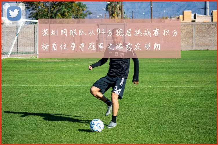 深圳网球队以94分稳居挑战赛积分榜首位争夺冠军之路愈发明朗