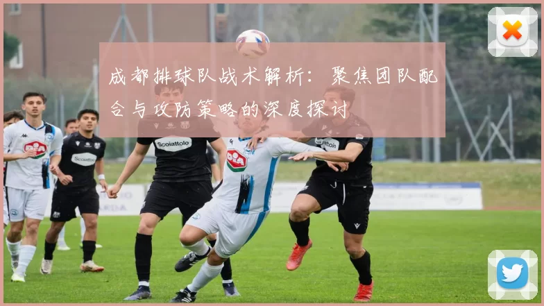 成都排球队战术解析：聚焦团队配合与攻防策略的深度探讨