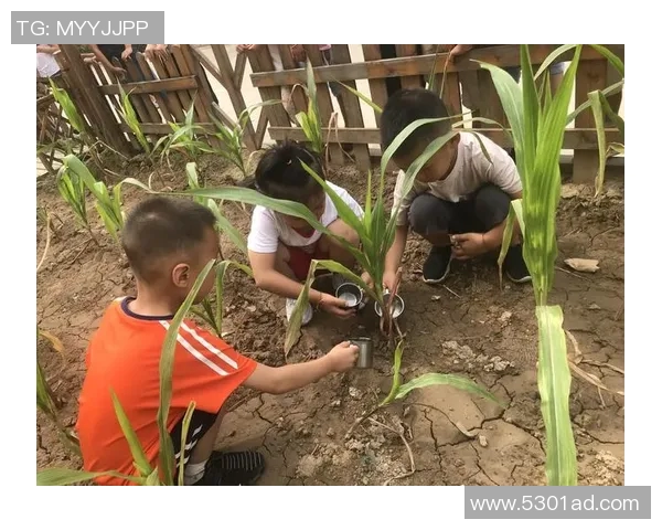 滑板少年吴磊的梦想与坚持：一段关于热爱与成长的对话