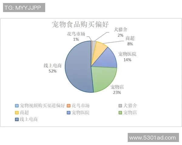 北京网球队的意识探讨与发展现状分析